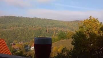 Фото номера Апартаменты с видом на горы Гостевой дом Hilltop Guesthouse г. Brădeşti 31
