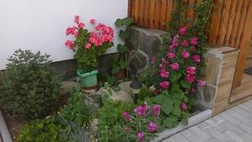 Фото номера Апартаменты с видом на горы Гостевой дом Hilltop Guesthouse г. Brădeşti 29